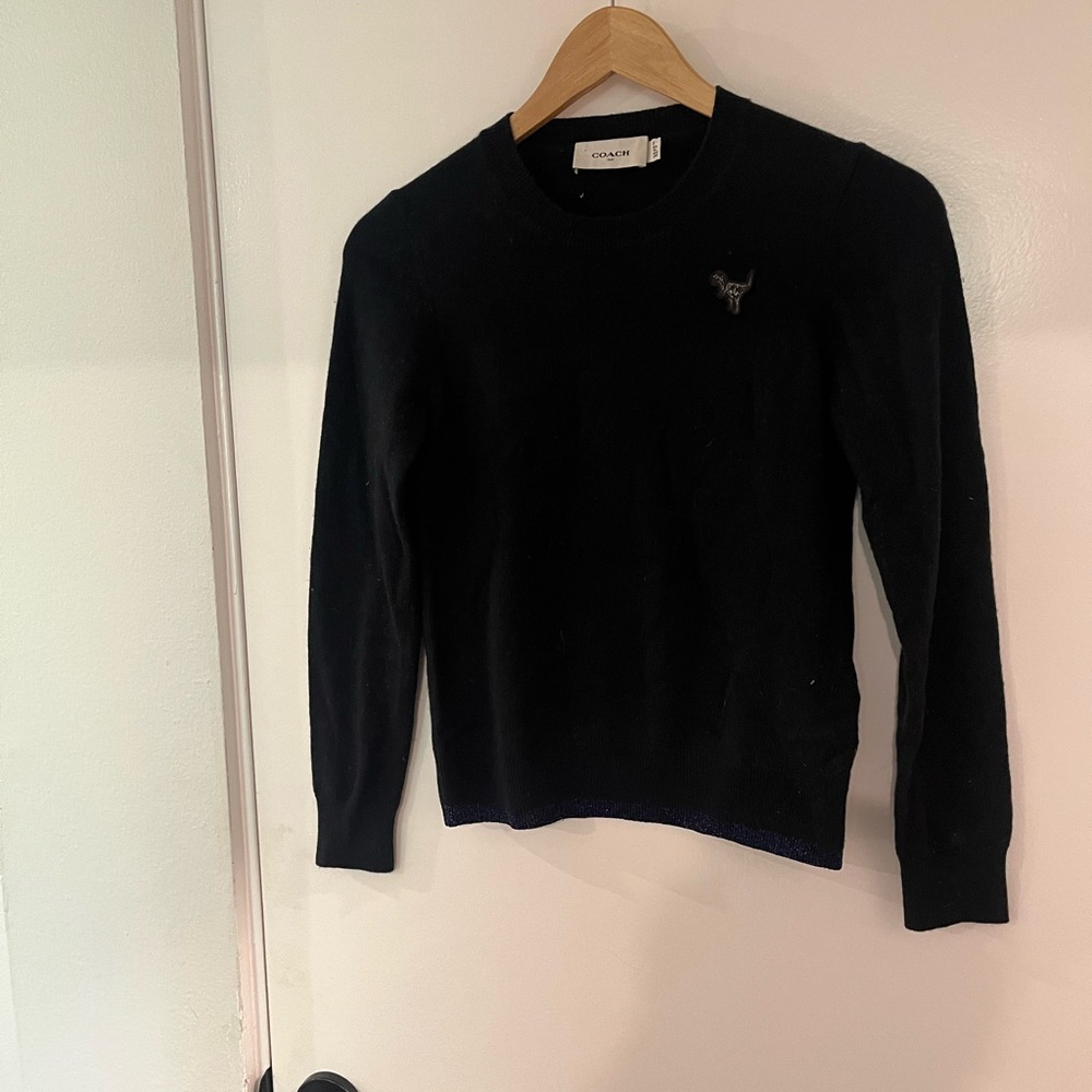 Coach Dinosaur Sweater